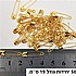 50 יחידות גודל 19 ממ