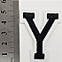 Y
