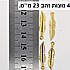 4 נוצות זהב 23 ממ