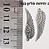 2 כנפיים,צבע כסף, 30 ממ
