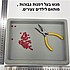 מגש דפנות גבוהות לילדים