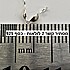 2 יחידות -מסתיר קשר כסף 925 קונכיה (לחרוז עד 2.5 ממ)