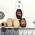 10 יחידות חרוז עץ אליפסה 12 על 15 ממ, חור 7 ממ