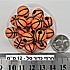 16 יחידות - חרוז כדור סל 12 מילימטר,
