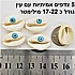 צדף אמיתי עם עין, חתוך מאחור . 5 יחידות בחבילה