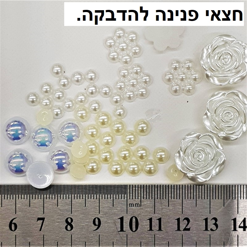 ���� ����� ������